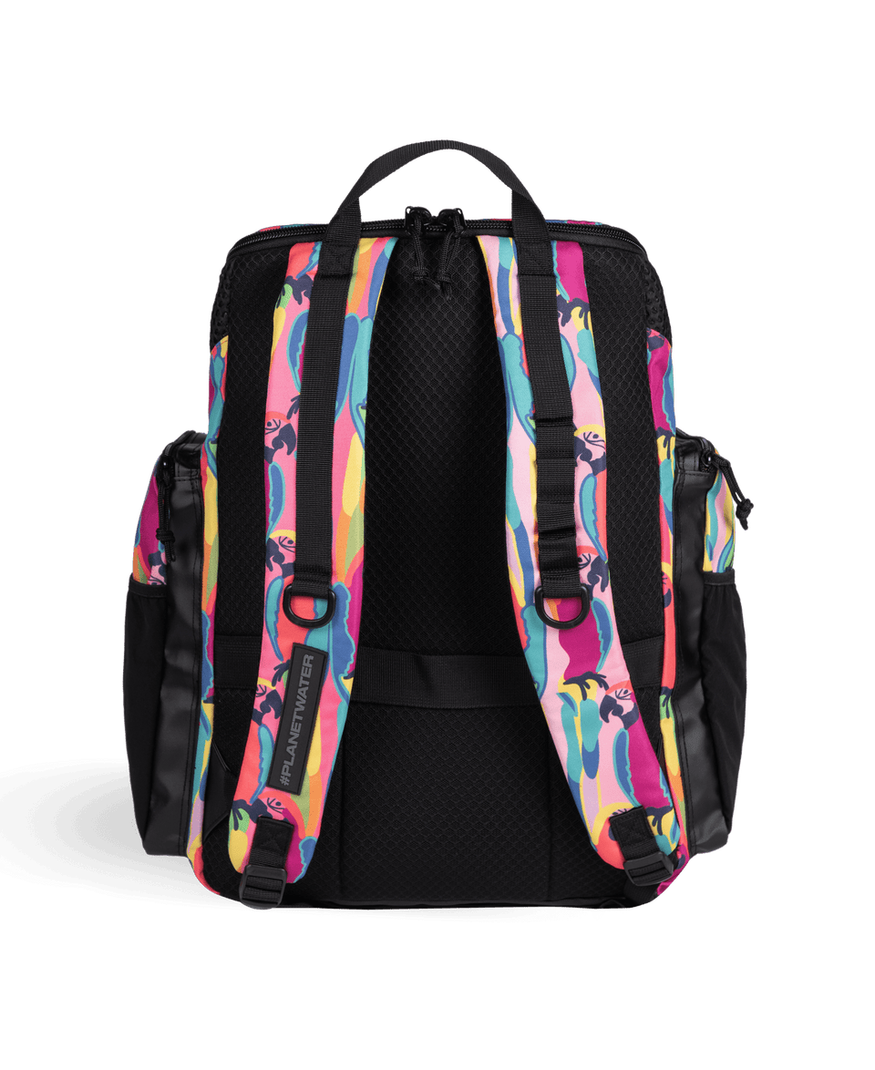 Arena swimsuits, goggles, backpacks and accessories